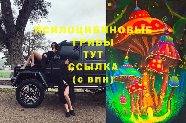 бошки Верея