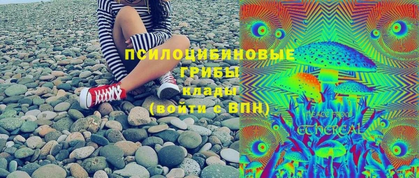 бошки Верея